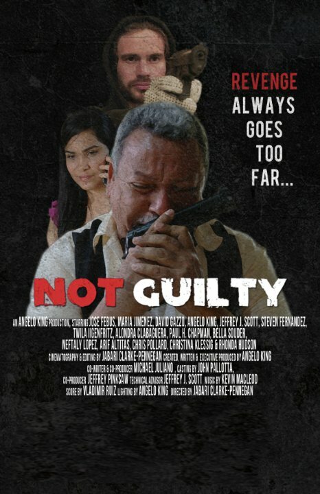 Not Guilty (2014)