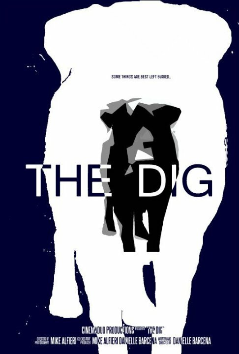 The Dig (2015)