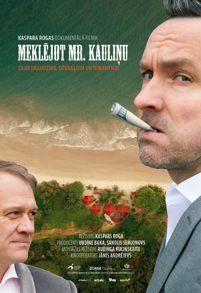 В поисках мистера Каулиня (2019)