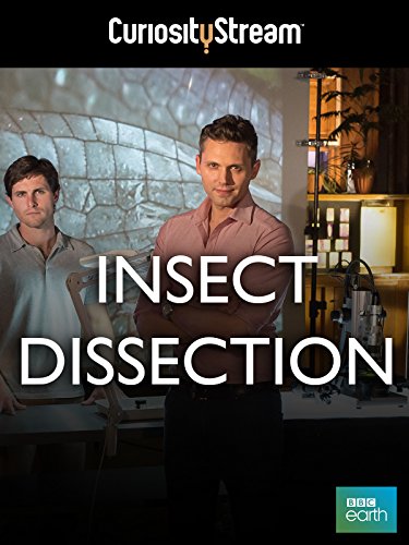 Insect Dissection: How Insects Work (2013)