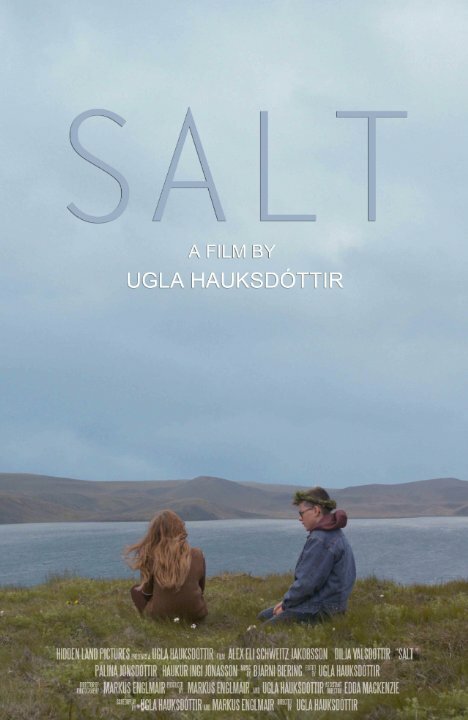 Salt (2014)