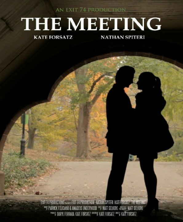 The Meeting (2014)