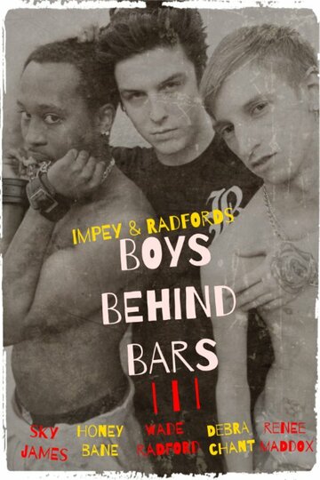 Boys Behind Bars 3 (2015)