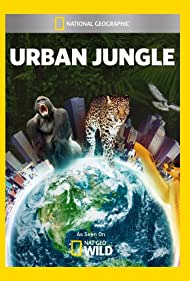 Городские джунгли (2014)