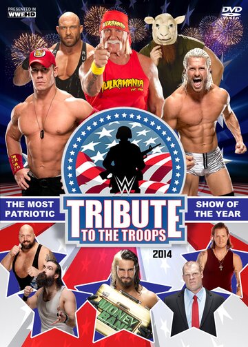 WWE Tribute to the Troops (2014)