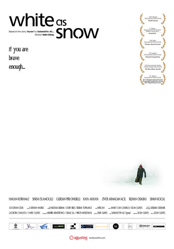 Белый снег (2010)
