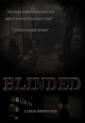 Blinded (2014)