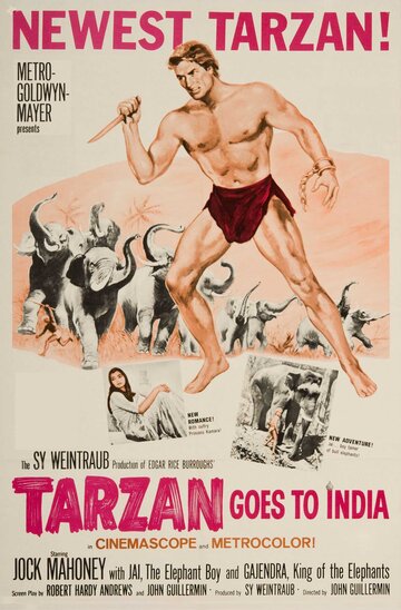 Тарзан едет в Индию (1962)