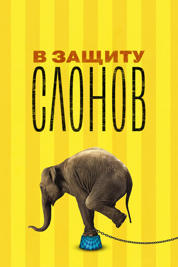 В защиту слонов (2013)